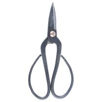 Scissors black